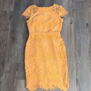 ASOS Paper Doll London mustard lace dress